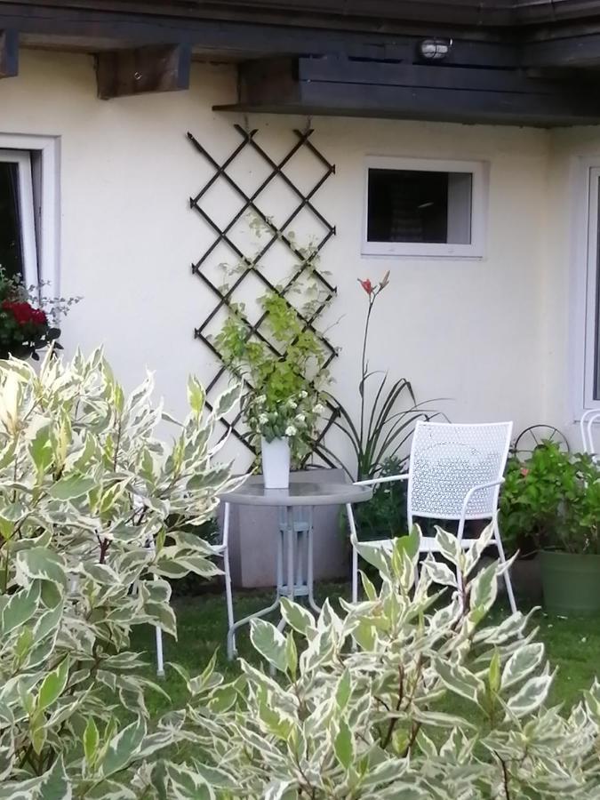 فيلا Secret Garden House In The Center Of سيغولدَ المظهر الخارجي الصورة