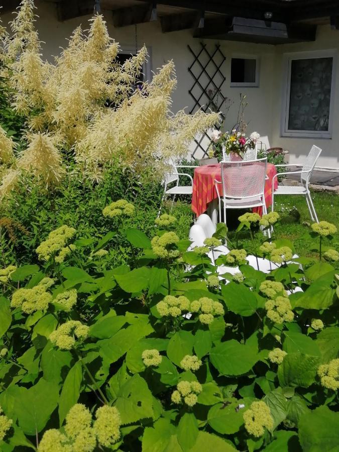 فيلا Secret Garden House In The Center Of سيغولدَ المظهر الخارجي الصورة